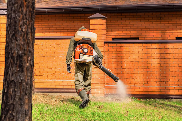 Trusted Rodent Control service in Wilmore, KY - Nex Pest Control